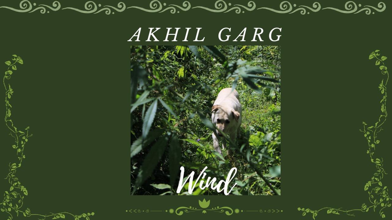 Wind: Akhil Garg’s Version of Inside Out in Six Minutes