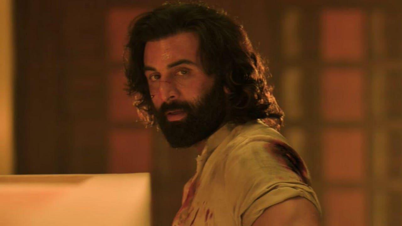 Animal Trailer: 5 Things To Expect From Ranbir Kapoor-Rashmika Mandanna Starrer