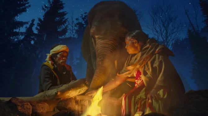 The Elephant Whisperers