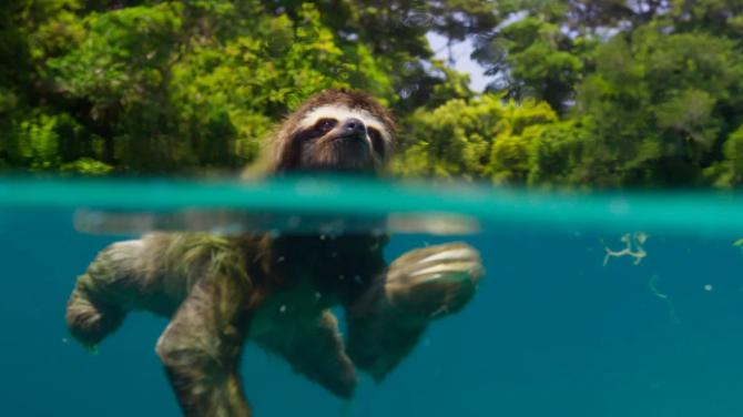 Planet Earth II