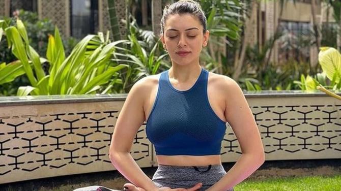 Hansika Motwani Birthday Special: 5 Unknown And Interesting Facts About The Koi Mil Gaya Actress