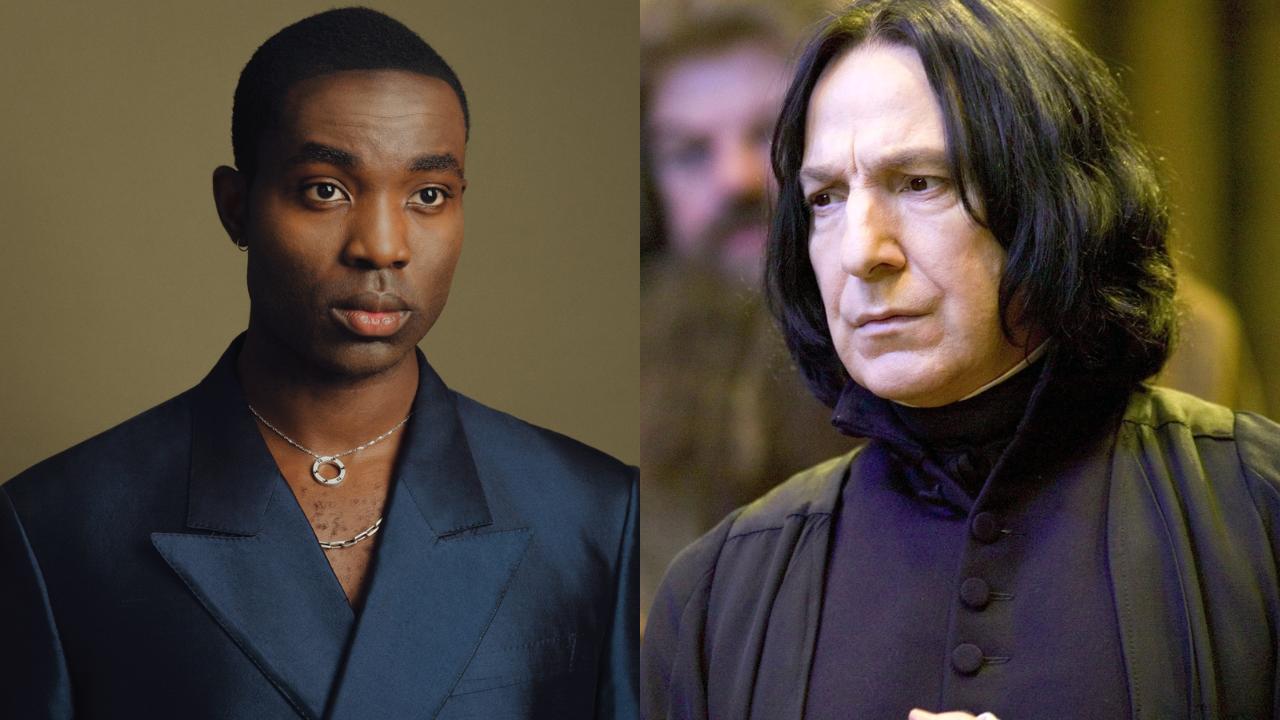 Harry Potter Fans Divided Over the Casting of Paapa Essiedu as Snape
