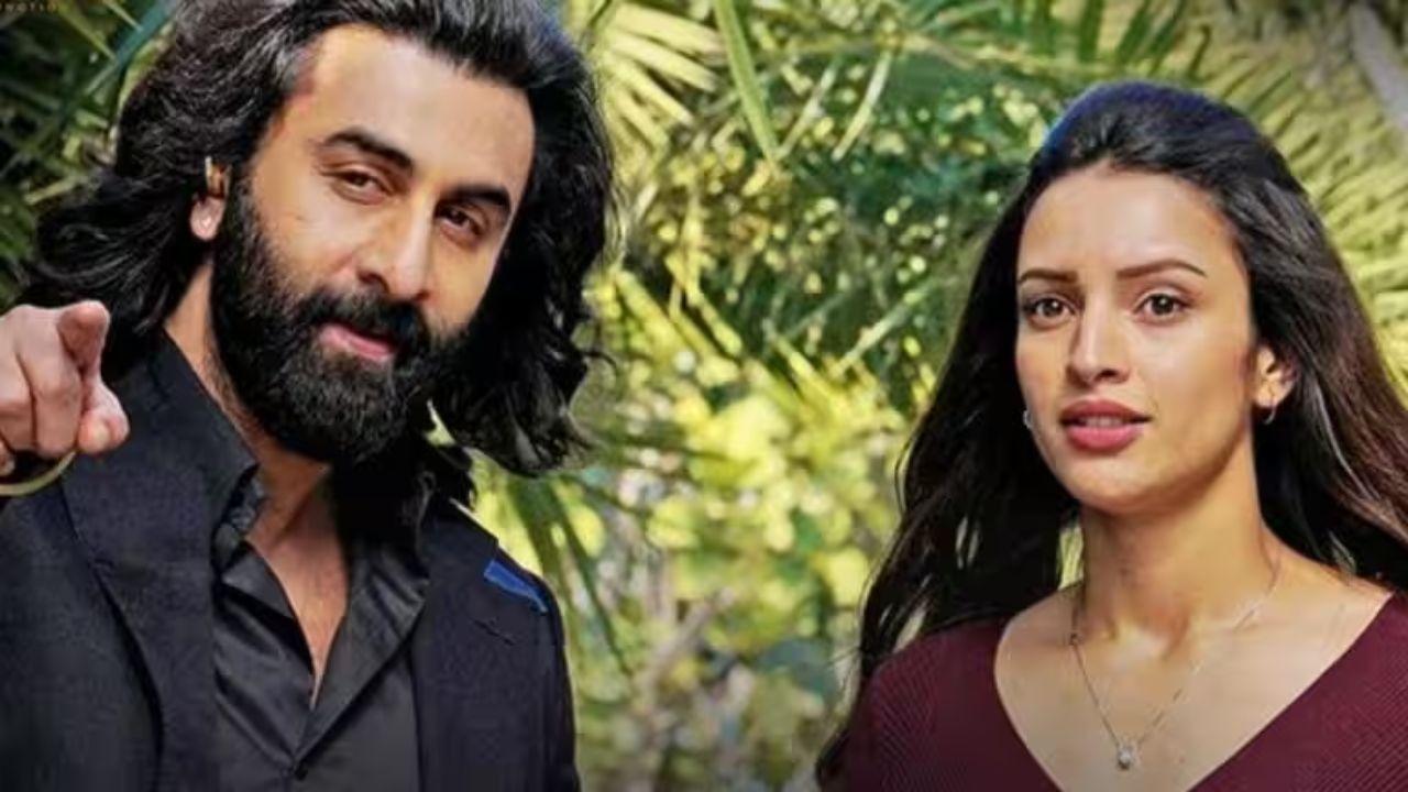 Here`s How Much Tripti Dimri Charged For Animal