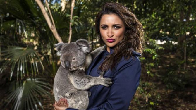 Facts About Parineeti Chopra You Probably Did Not Know