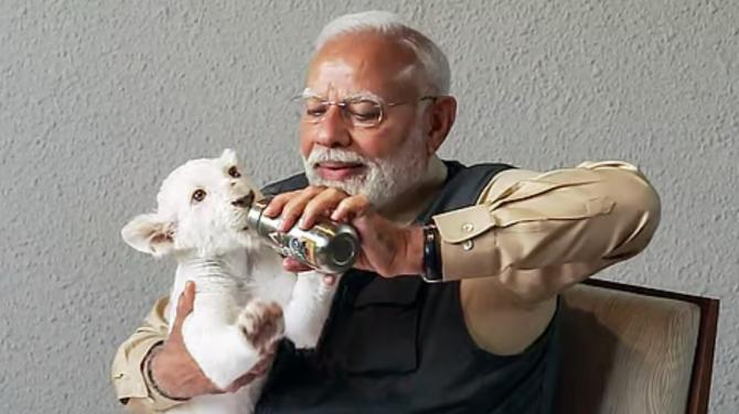 Interaction with Wildlife