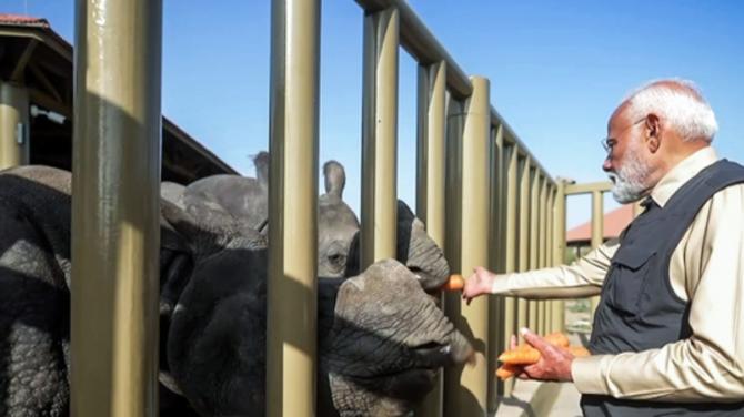 Customized Safari Experience