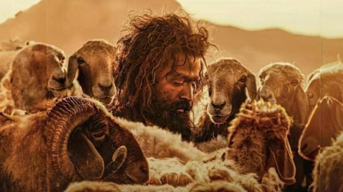 Aadujeevitham (The Goat Life)