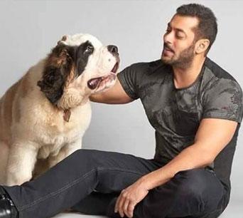 Salman Khan To Madhuri Dixit