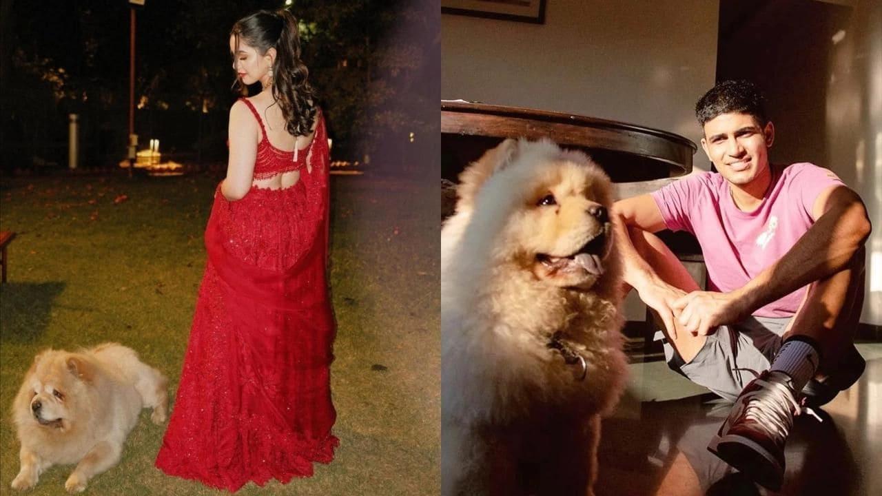 Are Shubman Gill And Sara Tendulkar Dating? Fans Spot The Cute Dog Connection