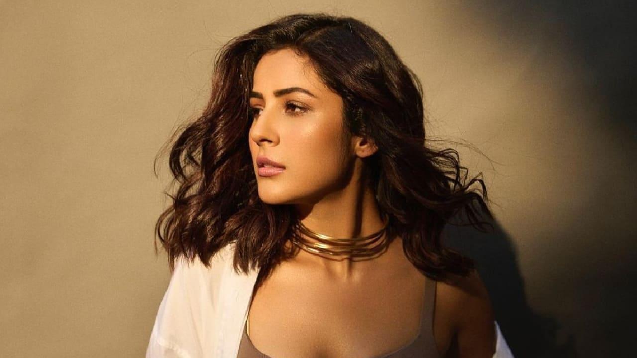 Kisi Ka Bhai Kisi Ki Jaan Release: Shehnaaz Gill Cries For Being Ignored By Punjabi Film Industry