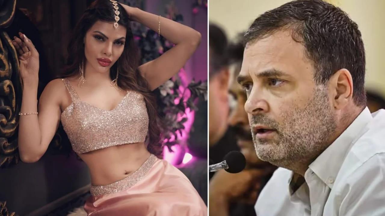 Sheryln Chopra Wants To Marry Rahul Gandhi But Has One Condition, Details Inside