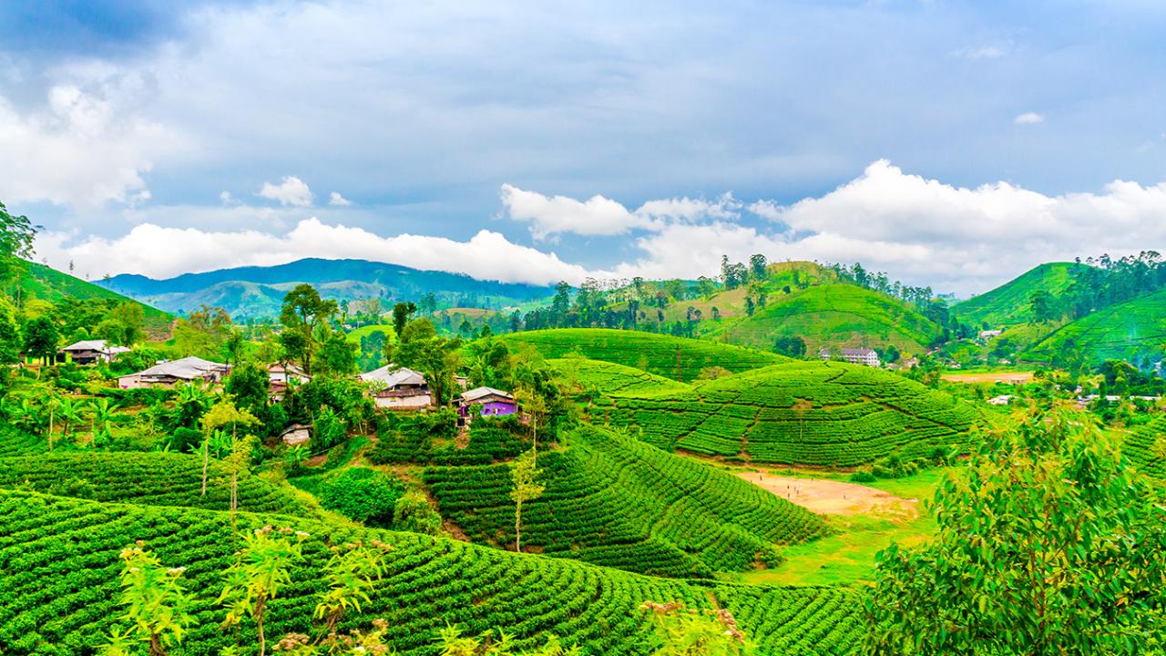 1. Munnar, Kerala