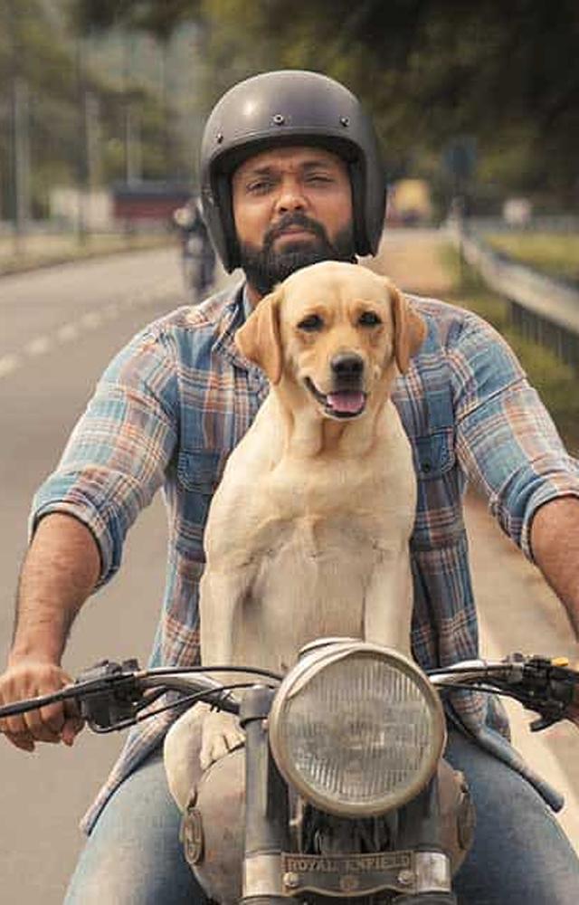 A hearttouching still of Dharma and Charlie himself 