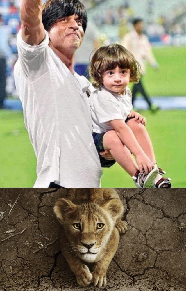 SRK`s youngest munchkin has dubbed for the Hindi version of the film, where he will be the voice for young Mufasa. This will mark his first-ever project.
