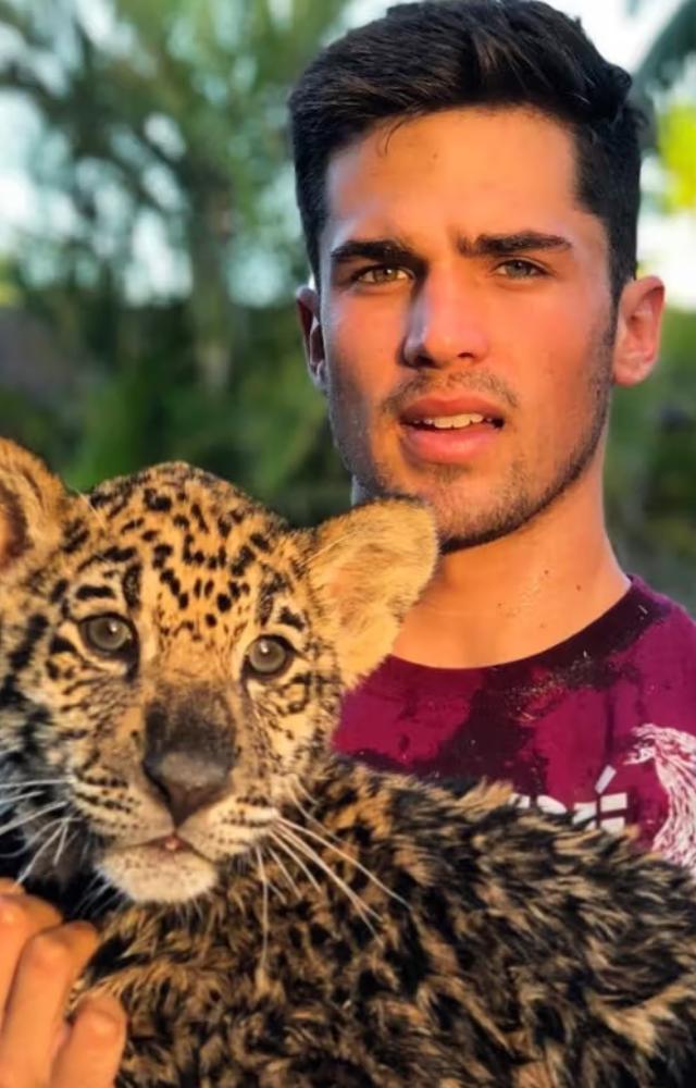 Walker works at Vantara, an animal shelter in Jamnagar, Gujarat, owned by Anant Ambani. He loves animals and often shares posts of exotic animals on media