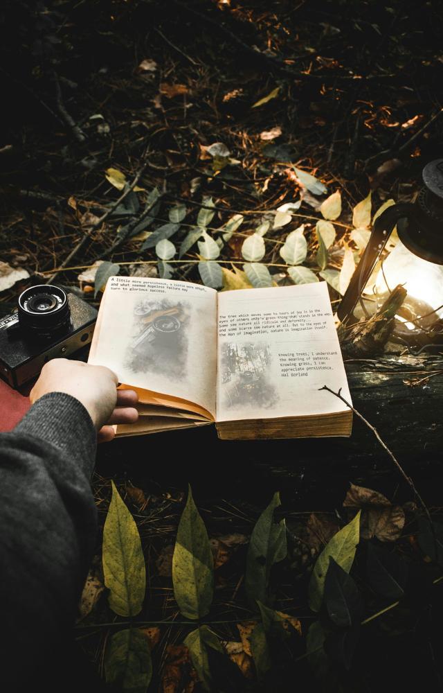 7 Lesser Known Benefits of Reading Daily