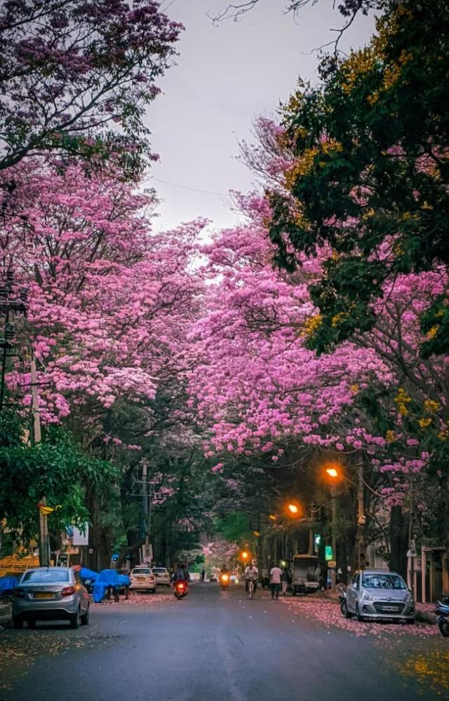 Bengaluru this April