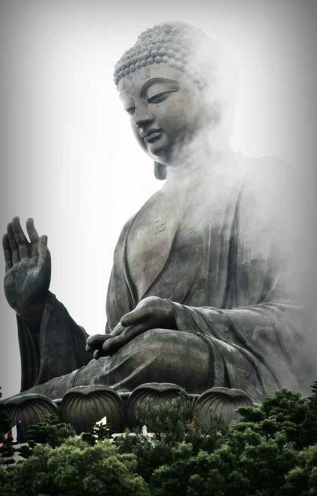 'Let all-embracing thoughts for all beings be yours.'