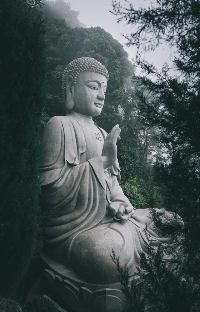 10 Buddha Quotes On Love And Happiness