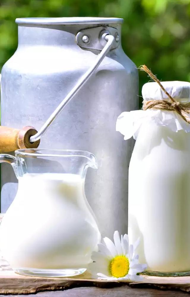 It is a classic source of calcium, and also rich in protein.