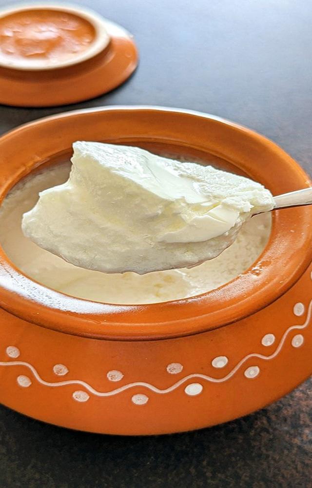The probiotics in curd also play a crucial role in bolstering your immune system.