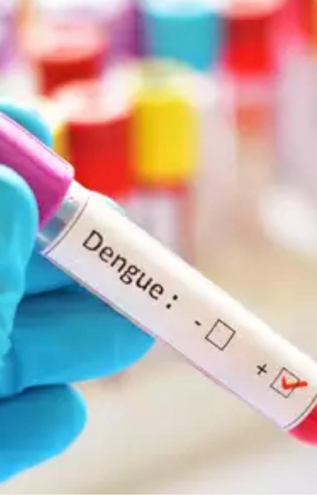 With a 42% increase in dengue testing rates compared to last year, more cases are now detected early. Early detection is essential to prevent complications