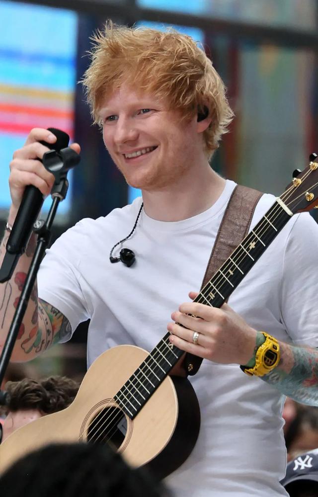 Ed Sheeran`s Bangalore Concert Grooves