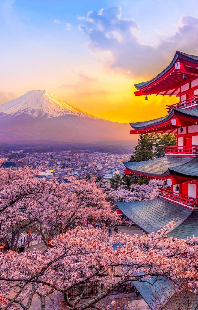 Experiences are like a treasure for Gemini. They also know how to be the life of the party. Japan makes it a perfect destination to explore.