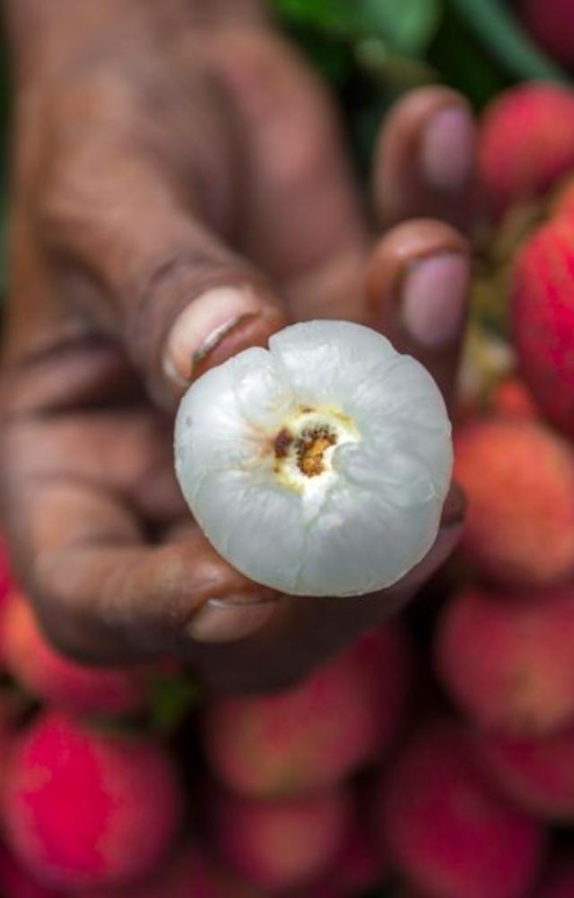Lychee is a good source of dietary fiber, aiding digestion and preventing constipation.