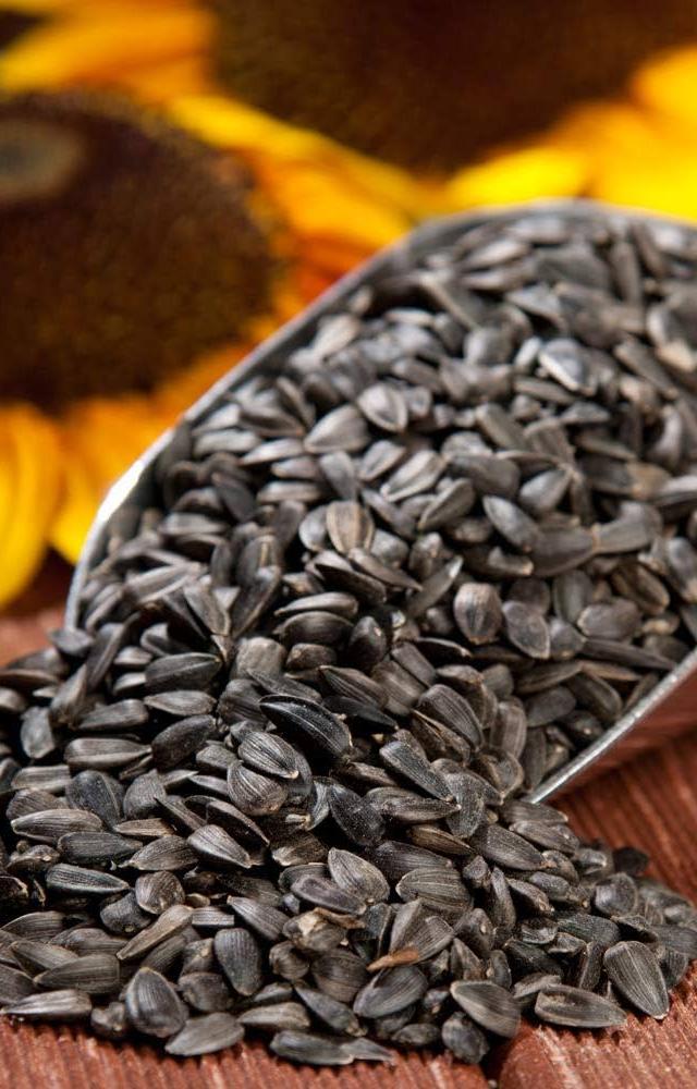 Sunflower seeds are a good source of unsaturated fats like linoleic acid and oleic acid. These fats help to lower bad cholesterol levels and reduce heart risks.