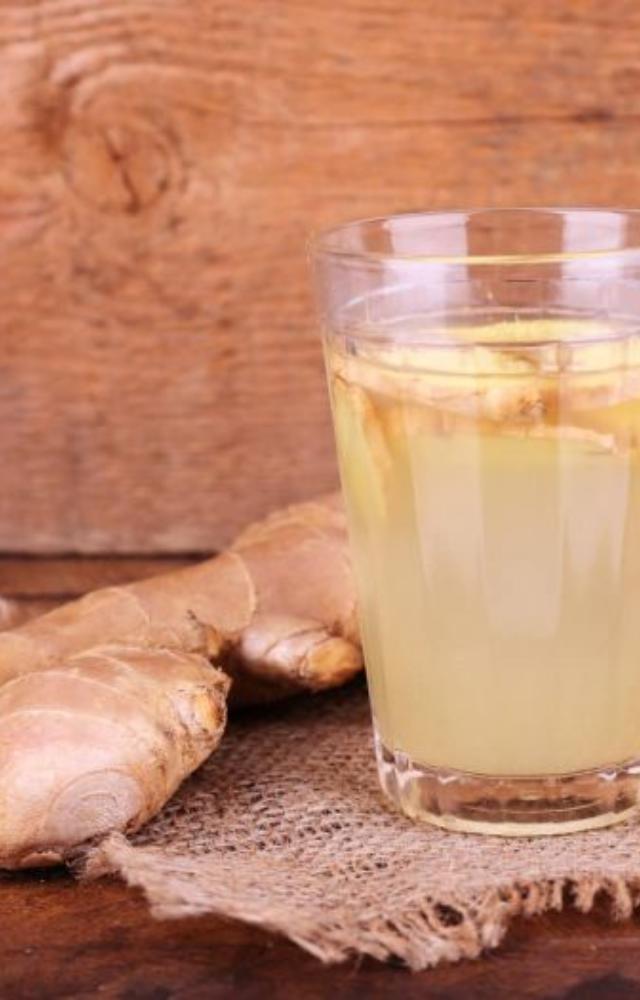 It eases digestion, reduces nausea, and helps alleviate stomach discomfort and bloating with its natural anti-inflammatory compounds.
