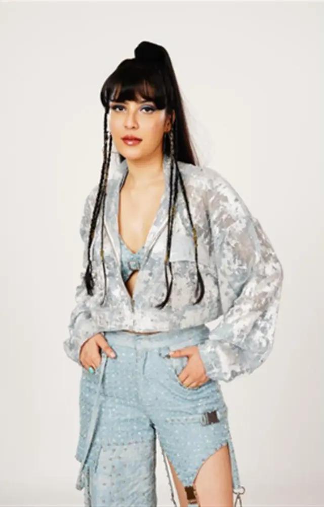 Khanzaadi aka Firoza Khan was one of the most controversial contestants in the history of Bigg Boss. From fighting to finding love angle she has done it all