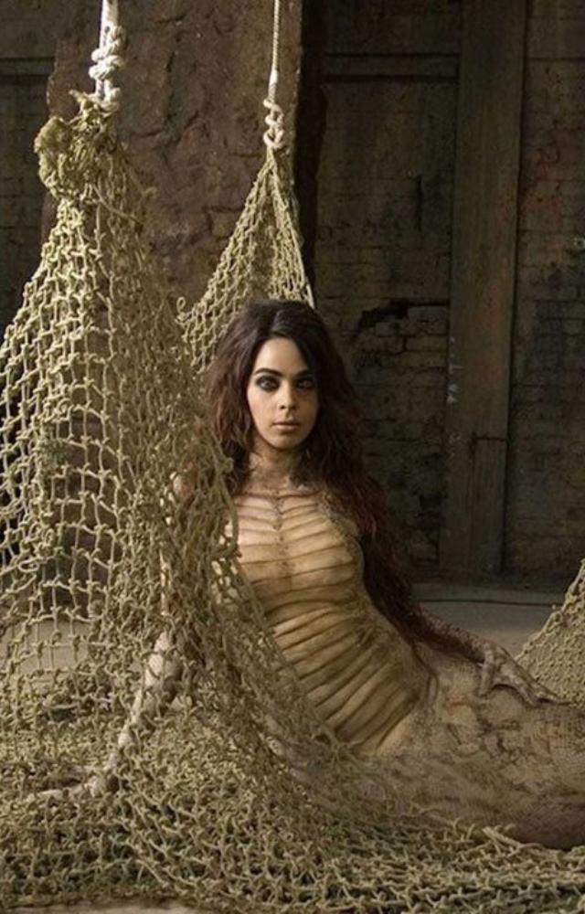 She appeared in Hisss (2010) and Politics of Love (2011), making her one of the few Bollywood stars to work in Hollywood films.