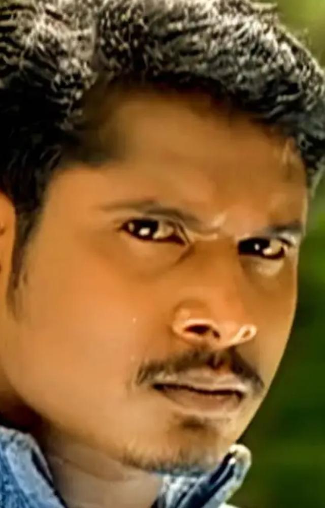 The 2003 release saw Manoj Bharathiraja in the leading role of Pallavan. The film also starred Rathi and Munna in key roles.