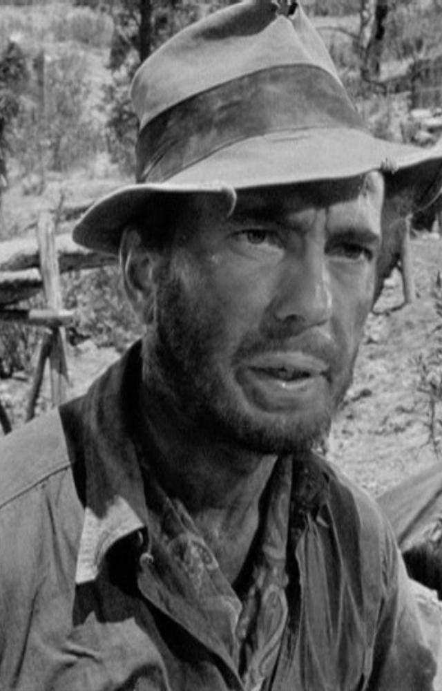 This classic film masterfully portrays the psychological impact of gold fever on three prospectors in 1920s Mexico.
