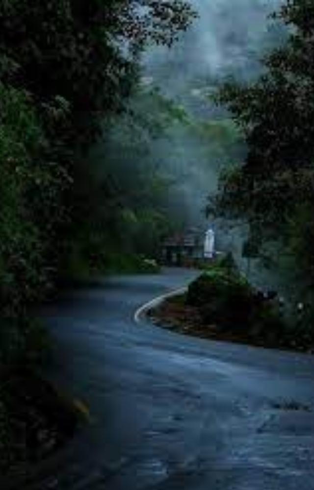 Take leisurely walks amidst rain-kissed greenery. Embark on road trips to scenic spots, enjoying the fresh air and the sound of raindrops on your car roof.