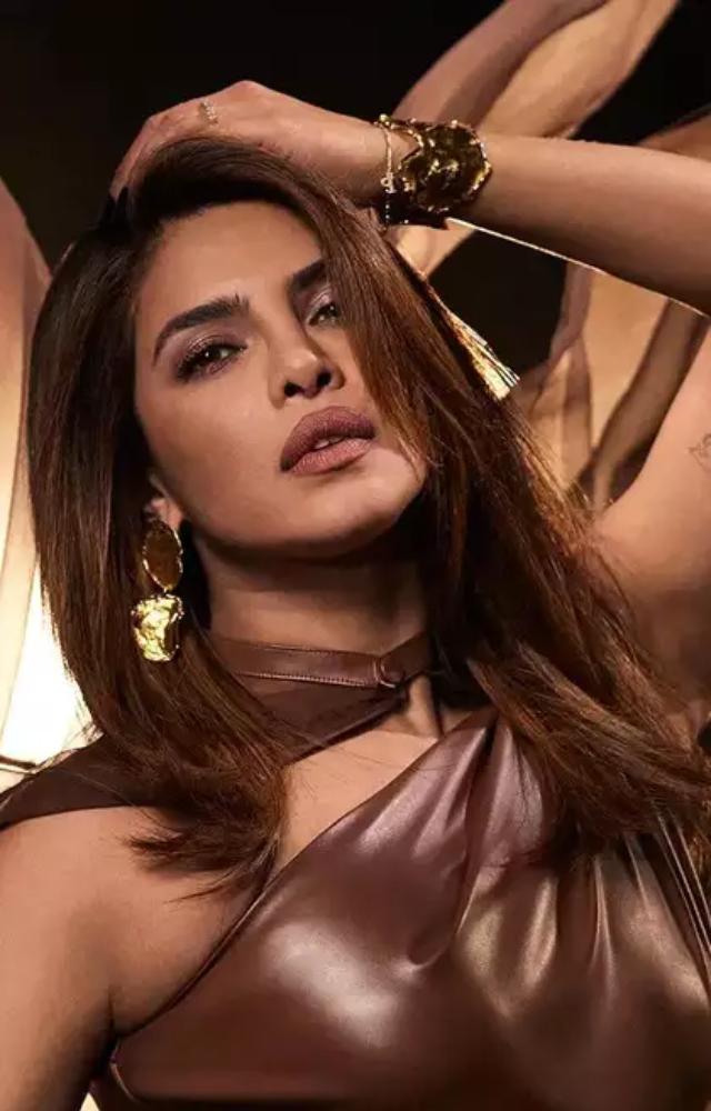 Priyanka`s portrayal of Meghna Mathur showcased her as a glamorous yet vulnerable aspiring model navigating the cutthroat fashion industry.