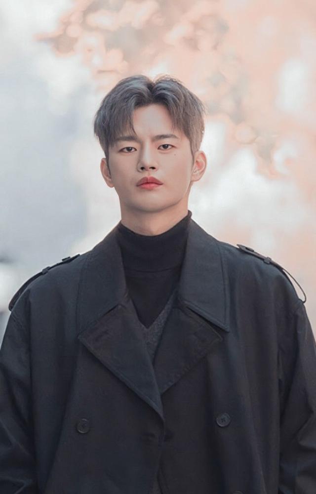 Top Korean TV Shows With Seo In-guk