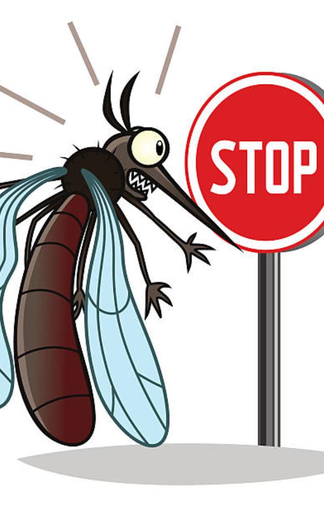 Best Strategies to Keep Mosquitoes Away
