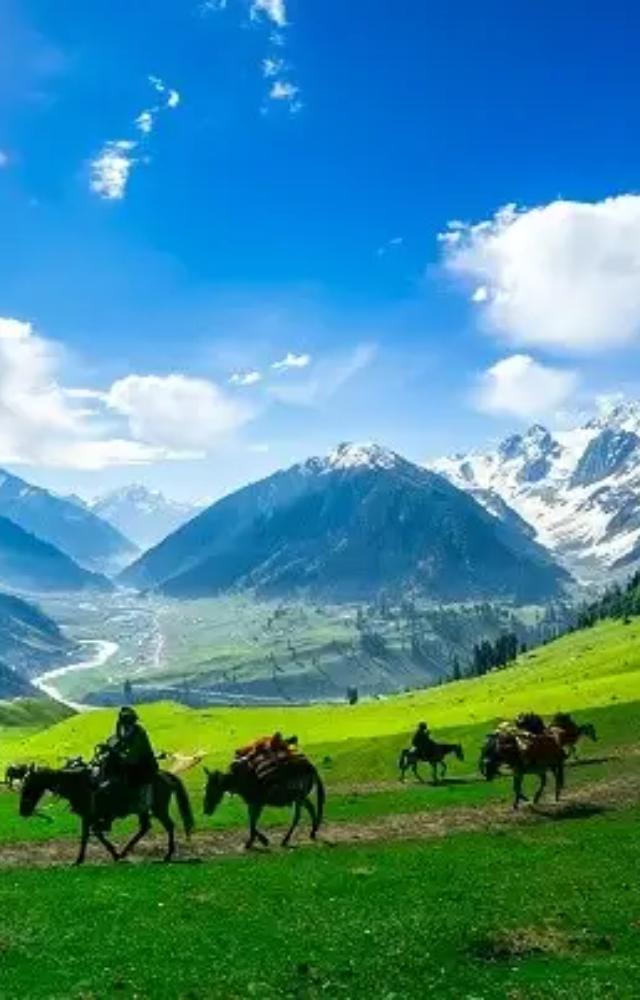 Best Summer Vacation Spots Within India 