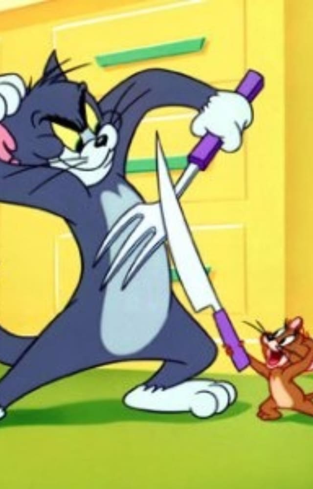 The iconic cat and mouse chase made every 90s kid laugh till their stomachs hurt. It made our childhood very interesting and entertaining.