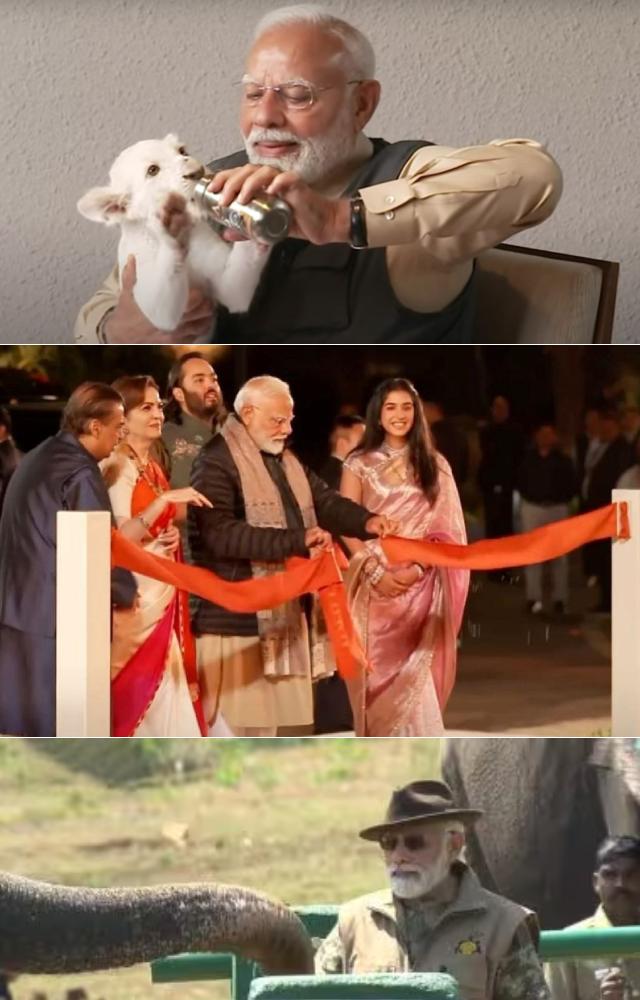 The Prime Minister of India inaugurated Anant Ambani`s ambitious wildlife conservatory project in Jamnagar. He even fed lion and tiger cubs.