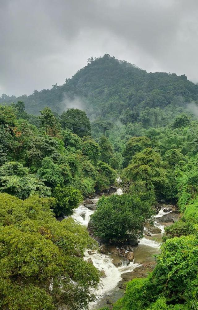 Kerala’s fragile ecosystem, combined with its geographical and geological traits, makes many areas highly susceptible to landslides.