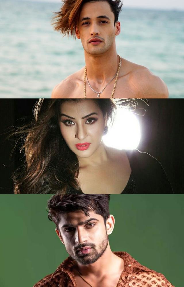 Khatron Ke Khiladi 14: Contestants List