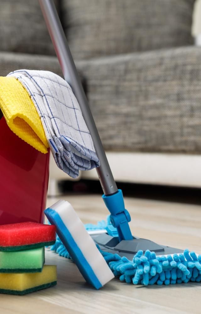 Apart from to being annoying mosquitoes can spread illnesses including the Zika virus, dengue fever, and malaria. Keeping your home neat and clean