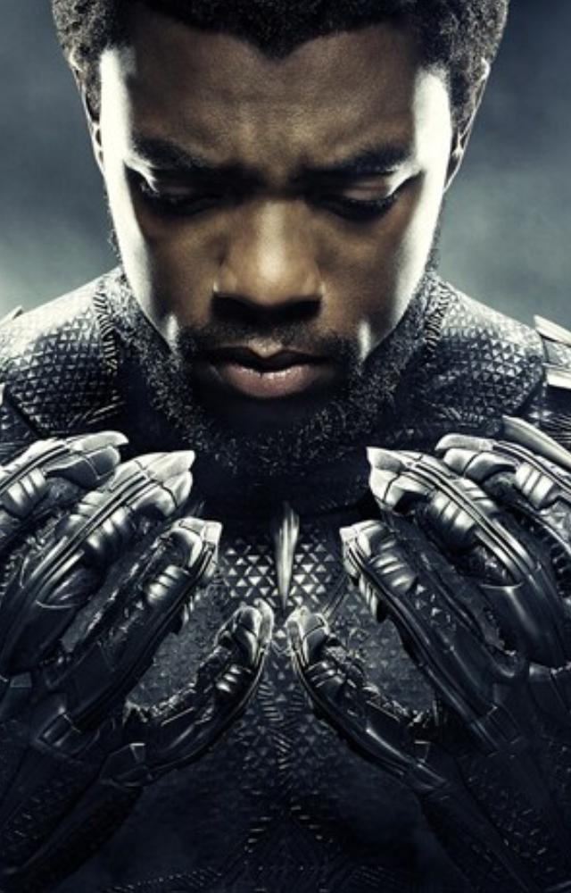 'Join 'Black Panther' as he travels to the technologically advanced country of Wakanda, where T`Challa, the recently crowned king