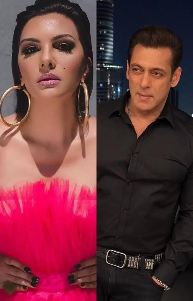 Salman Khan is said to have dated the former Bollywood actress Somy Ali in the 1990s. Before breaking up, they were together for a few years