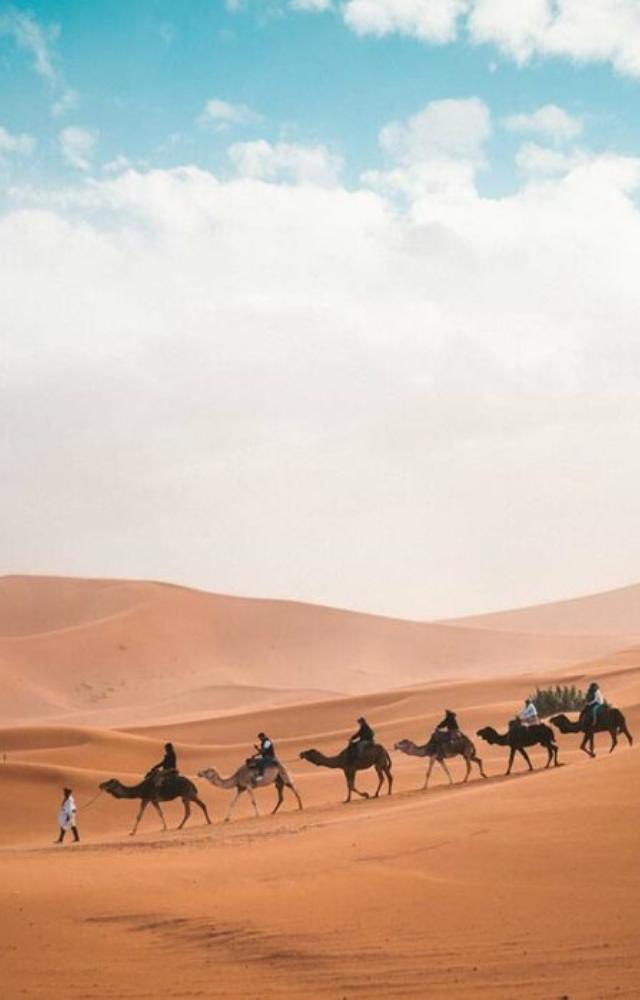 Thrill-seekers will love dune bashing, sandboarding, and luxury camps in the Arabian Desert.