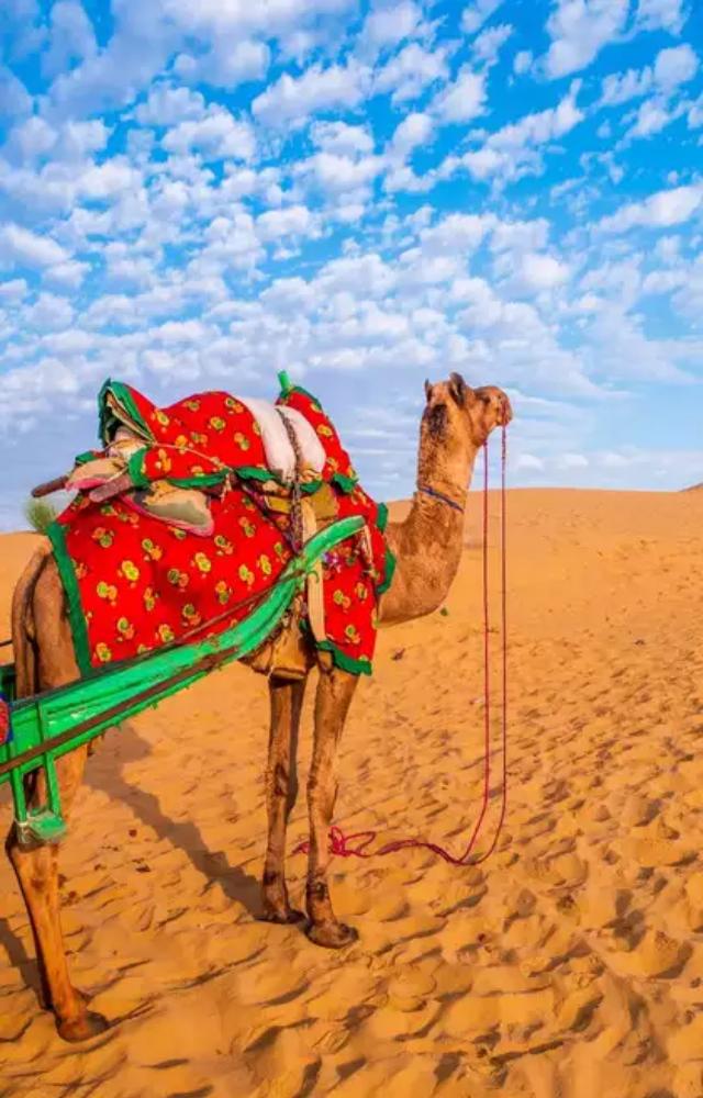 Top Desert Escapes for 2025 Adventures