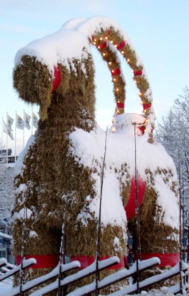 Sweden’s Gävle town builds a giant straw Yule Goat each year. The challenge? Keeping it safe from pranksters trying to burn it down.